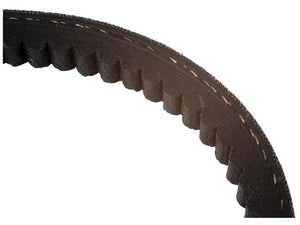 Close-up of a black, toothed rubber belt on a white background. The belt, known as the Raw Edge Moulded Cogged Belt AVX13x1035 by Sparex (Part Number S.149078), features a series of evenly spaced teeth along its inner edge.