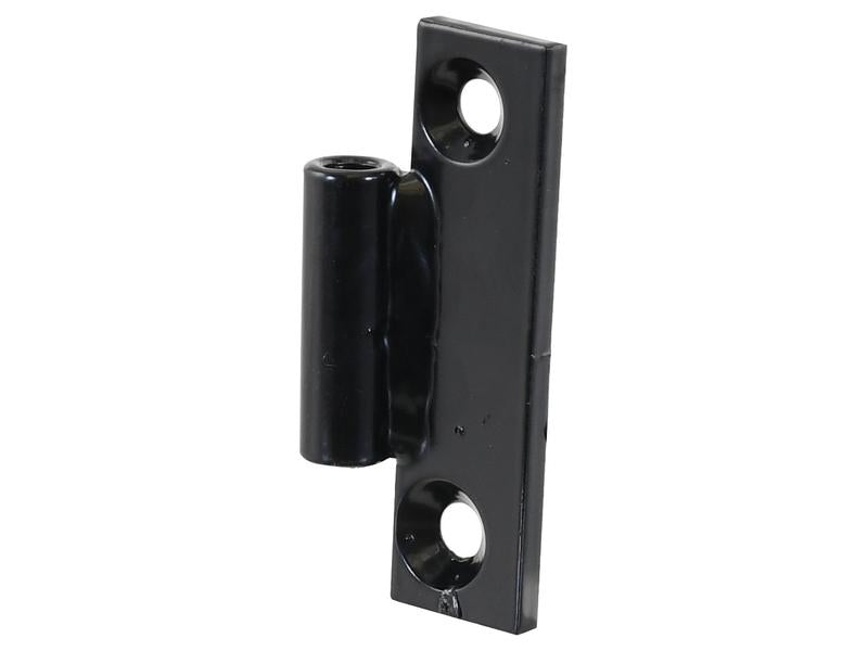 Glass Door Hinge | Sparex Part Number: S.152588