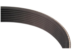 Close-up view of a Sparex Poly V / Multi-Rib Belt - PK Section - Belt No. 10PK1935 (Sparex Part Number: S.155466), a black multi-ribbed belt typically used in automotive or mechanical applications for transferring power between pulleys.