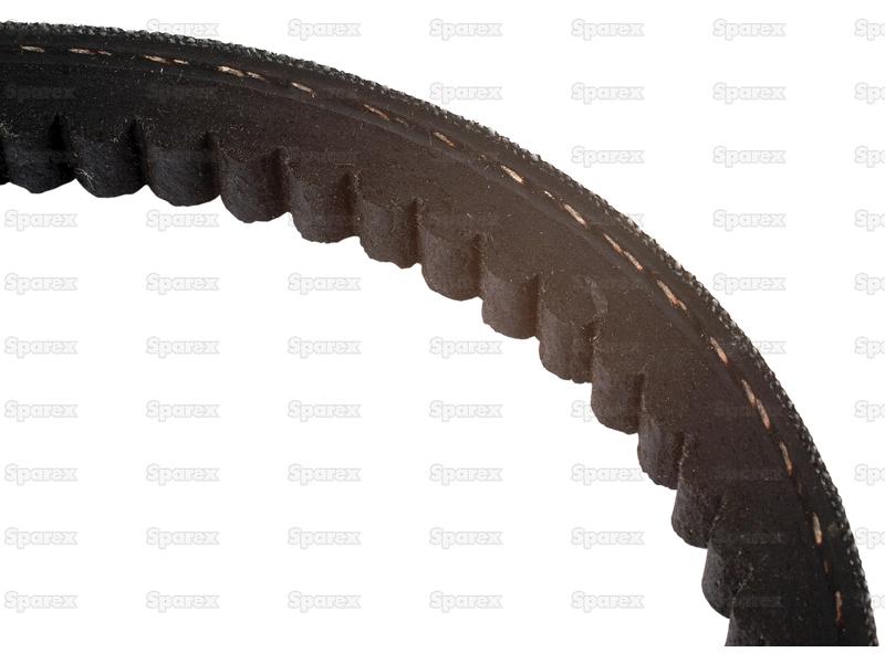 Sparex | Raw Edge Moulded Cogged Belt - AVX Section - Belt No. AVX10X925