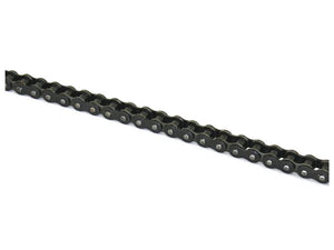 A close-up of a Sparex Drive Chain - Simplex, 50-1 H (5M), typically used in mechanical and industrial applications, laid out horizontally against a white background.