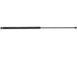 Gas Strut, Total Length: 785 MM - Sparex Part S.163218