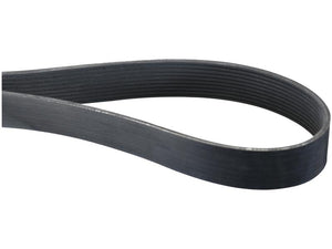 Poly V / Multi-Rib Belt - PK Section - Belt No. 10PK1713 - Sparex Part No. S.163279