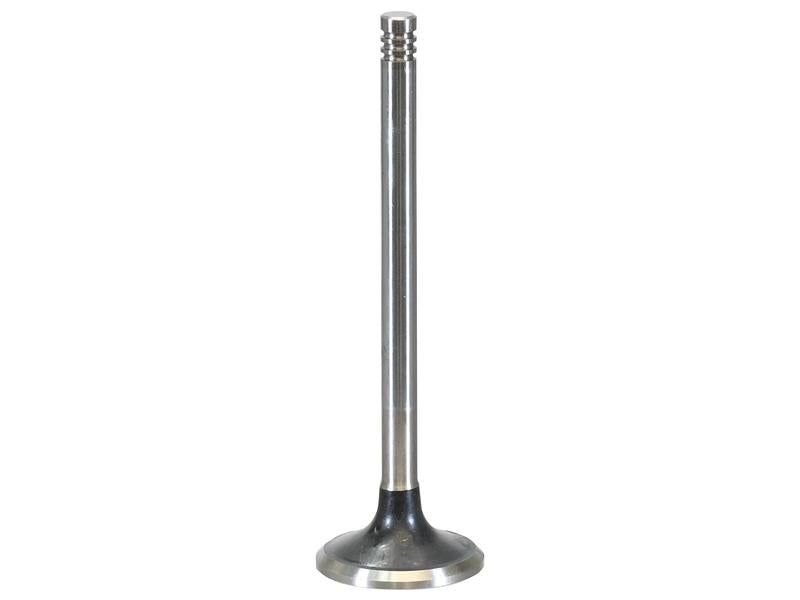 An Exhaust Valve by Sparex, Part Number S.163354, featuring a head diameter of 42 mm and a seat angle of 45°, stands vertically against a plain white background.