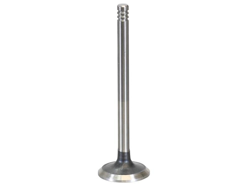 A single Exhaust Valve (Sparex Part Number: S.163355) with a cylindrical stem and a flat circular head against a white background, showcasing precision Sparex engineering.