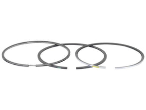 Three Sparex Piston Ring Standard (Sparex Part Number: S.163375) arranged on a white background, each ring featuring a unique design and slight color markings, showcasing the standard number of rings in their collection.