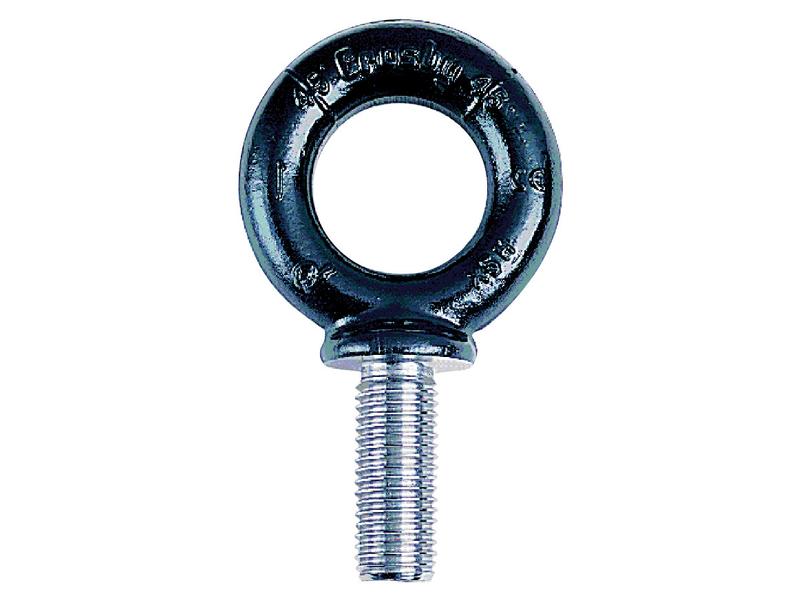 Forged Machinery Eye Bolt M279 - M8 x 1.25 | Sparex Part Number: S.164992