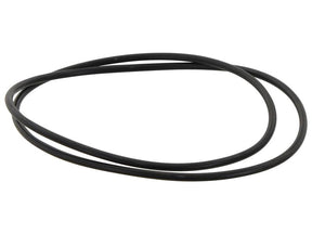 Sparex O Ring 4 x 255mm 70 Shore | S.165650 - Product Image 1