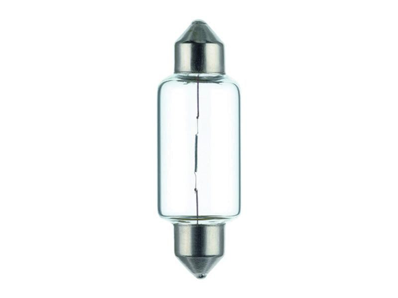 Light Bulb (Halogen) C21W, 12V, 21W, SV8.5-8 (Box 10 pcs.) | Sparex Part Number: S.165676
