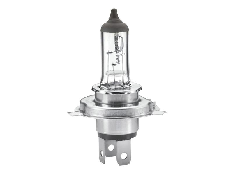 Light Bulb (Halogen) H4, 24V, 75/70W, P43t (Box 1 pc.) | Sparex Part Number: S.165692