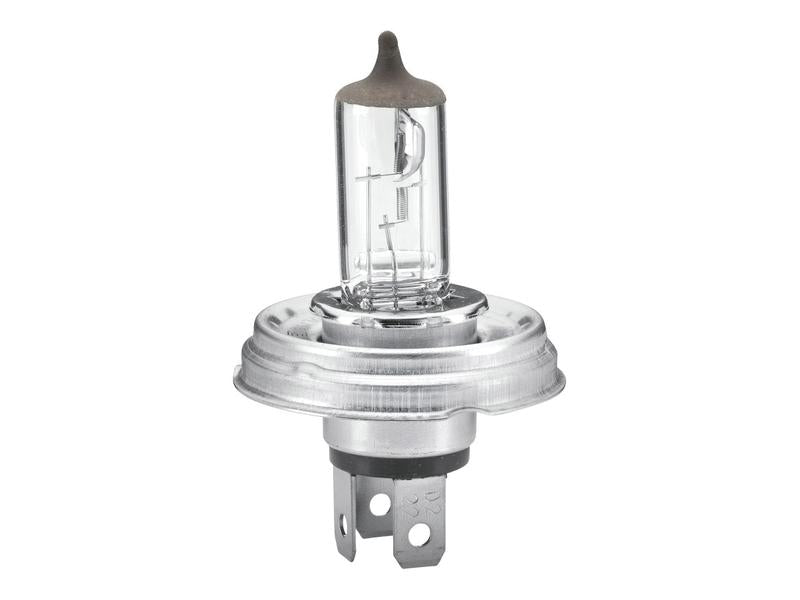 Light Bulb (Halogen) R2, 12V, 45/40W, P45t (Box 1 pc.) | Sparex Part Number: S.165725