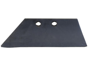 A black, flat metal plate with two circular holes near the top edge. The rectangular plate, marked with 631105, features a sharply angled corner on the left side and comes from Sparex's Skim Point - LH (Kuhn) collection under part number S.166125.