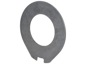 Intermediate Brake Disc, OD: 171mm. - Sparex Part No. S.169046