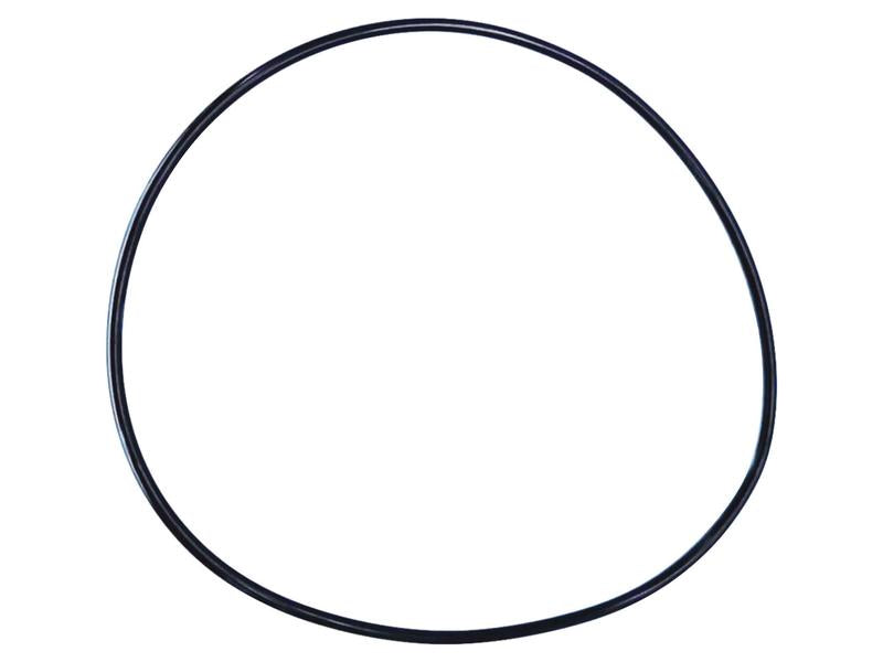 A circular black rubber band from the Sparex Brake O Ring Kit (Part Number: S.169059), with an inner diameter of 304 mm and a thickness of 5.3 mm, placed against a white background.