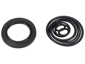 Hydraulic Pump installation Seal Kit - Sparex Part No. S.171569