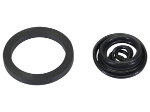 Hydraulic Pump installation O Ring Kit - Sparex Part No. S.171571