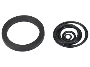 Hydraulic Pump installation O Ring Kit - Sparex Part No. S.171572