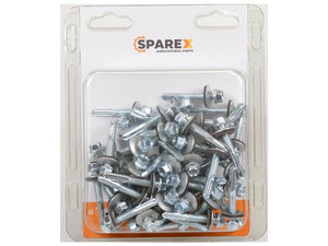 Sparex Agripak 50 pcs. HexH TEK Screws, 5.5x38mm | S.172188 - Product Image 1