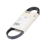Sparex Drive Belt for Ford New Holland Tractors | 84344769 | S.173796