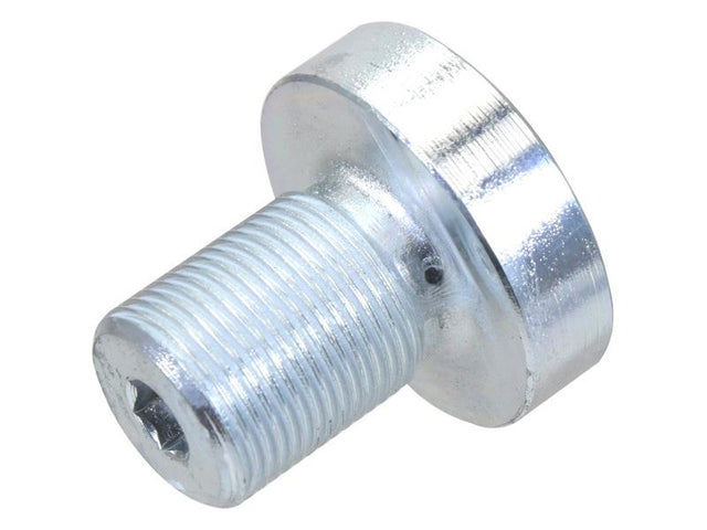 Sparex Adjusting Screw M22 x 1.5 | S.174029 - Product Image 1
