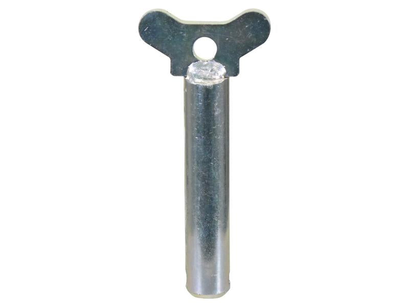 Sparex Hitch Pin - Pin Ø20 x 100mm | S.174031 - Product Image 1