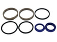 Sparex Power Steering Cylinder Seal Kit | S.174079 - Product Image 1