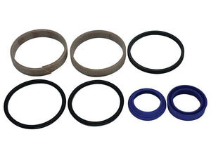 Sparex Power Steering Cylinder Seal Kit | S.174079 - Product Image 1