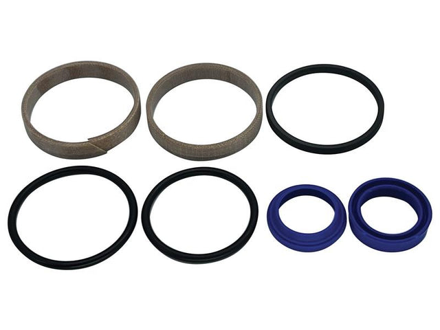 Sparex Power Steering Cylinder Seal Kit | S.174079 - Product Image 1