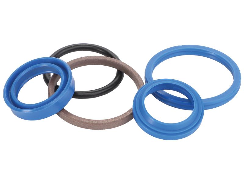 Sparex Power Steering Cylinder Seal Kit | S.174081 - Product Image 1