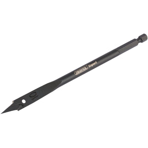 The Draper Expert Flat Wood Bit, 10mm - FB102, is a black, pointed spade drill bit made from high-quality carbon steel featuring a hexagonal shank and an engraved Draper brand mark, boasting a precision-ground central point.