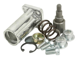 Sparex Detent Kit Hydraulic Valve Repair for 165654 & 165655 | S.174745
