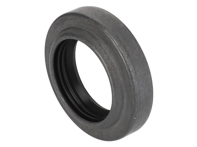 Sparex Metric Rotary Shaft Seal, 28 x 45 x 11/8mm NBR | S.175120 - Product Image 1