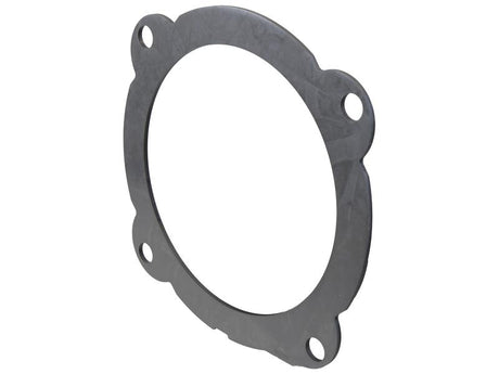 Sparex Brake Disc. OD 301.55mm | S.175127 - Product Image 1