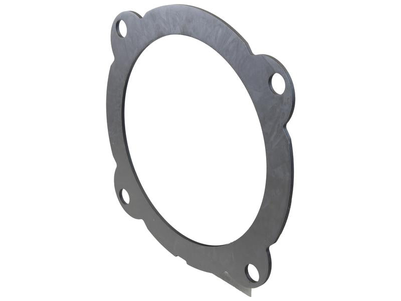 Sparex Brake Disc. OD 301.55mm | S.175127 - Product Image 2