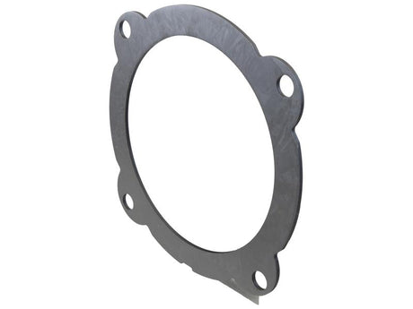 Sparex Brake Disc. OD 301.55mm | S.175127 - Product Image 2