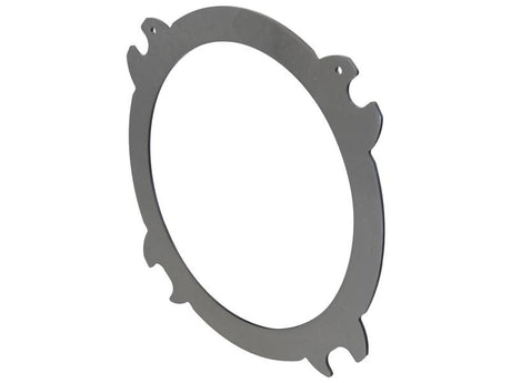 Sparex Clutch Plate | S.175130 - Product Image 2