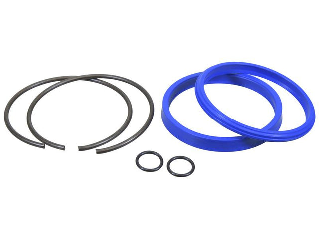 Sparex Seal Kit (Lift Cylinder 90 mm Piston) | S.175220 - Product Image 1