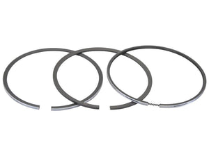 Sparex Piston Ring | S.177517 - Product Image 1