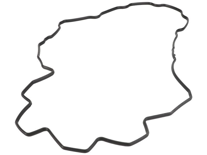 Sparex Rocker Cover Gasket [BRANDSAVE] | S.177727 - Product Image 1