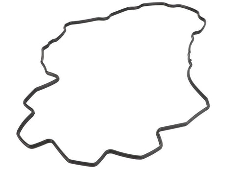 Sparex Rocker Cover Gasket [BRANDSAVE] | S.177727 - Product Image 1