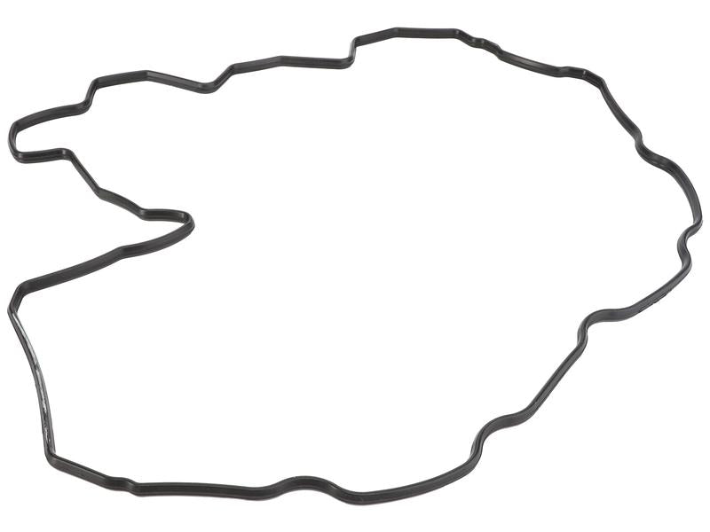 Sparex Rocker Cover Gasket [BRANDSAVE] | S.177732 - Product Image 1