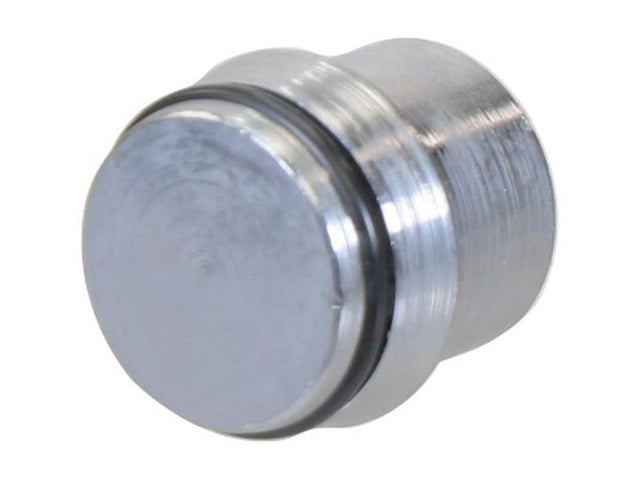 Sparex End Plug with O-Ring 25S | S.178110 - Product Image 1