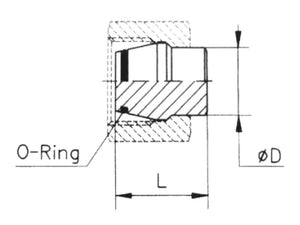 Sparex End Plug with O-Ring 30S | S.178111 - Product Image 4