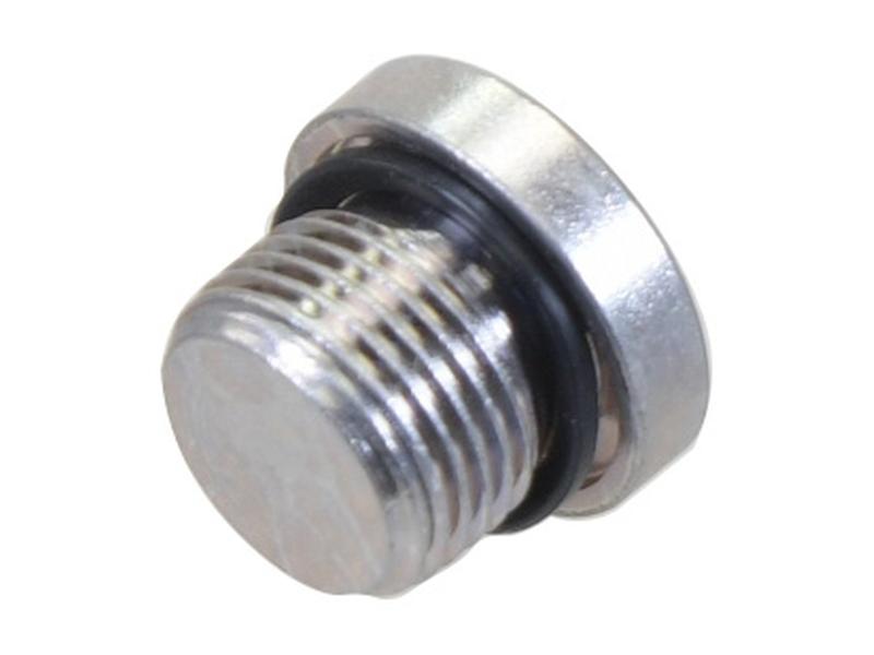 Sparex BSP Blanking Plug with Rubber Seal 3/4'' BSP | S.178136 - Product Image 1