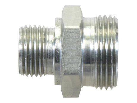 Sparex BSP Stud Coupling with 3/8'' BSP Male with 60° Cone x 8L Male | S.178170 - Product Image 2
