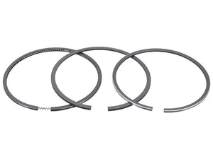 Sparex Piston Ring | S.178931 - Product Image 1