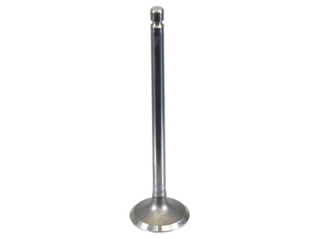Sparex Exhaust Valve [BRANDSAVE] To fit as: 4895051 | S.178977 - Product Image 1