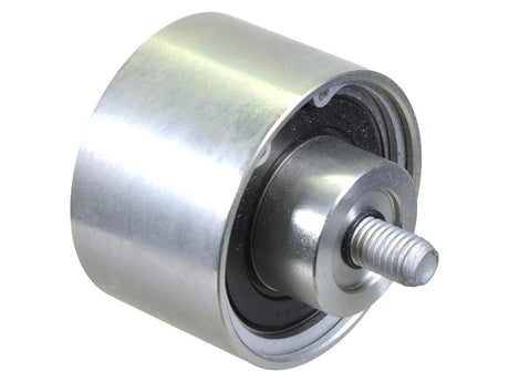 Sparex FPT Idler Pulley [BRANDSAVE] To fit as: 504006261 | S.178993 - Product Image 1