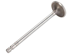 Sparex Inlet Valve [BRANDSAVE] To fit as: 4895052 | S.179006 - Product Image 1