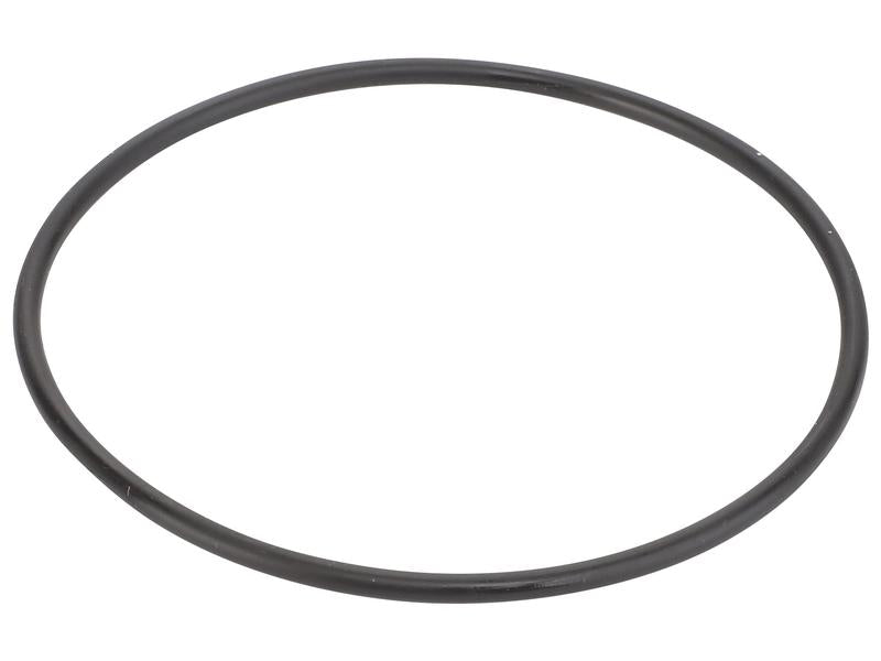 Sparex O Ring [BRANDSAVE] To fit as: 504325903 | S.179017 - Product Image 1